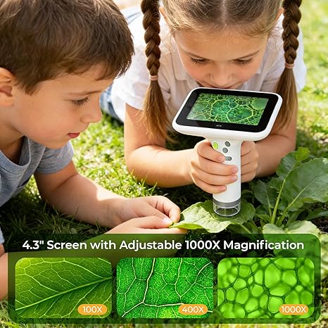 Coarse and fine focusing controls